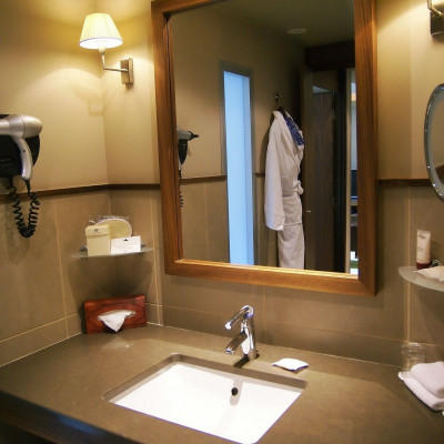 Sofitel Lyon Bellecour image