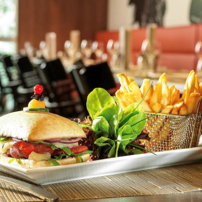 Sofitel Lyon Bellecour image