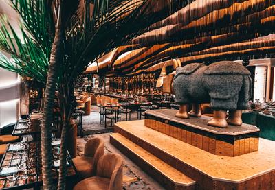 Restaurant Salvaje