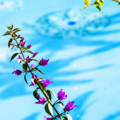 Sofitel Rak Lounge And Spa image