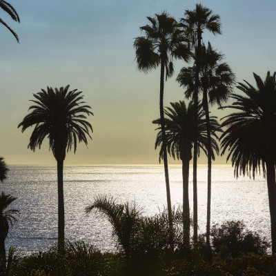 Fairmont Miramar Hotel & Bungalows image