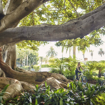 Fairmont Miramar Hotel & Bungalows image