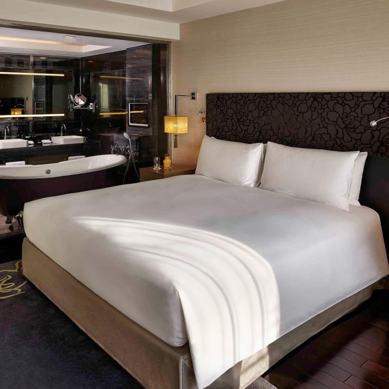 Sofitel Saigon Plaza image