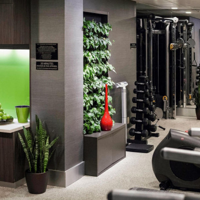 Sofitel Montreal Golden Mile image