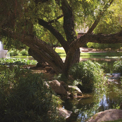 Fairmont Scottsdale Princess image