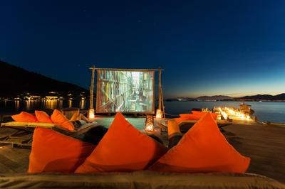 Outdoor Movies