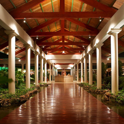 Paradisus Punta Cana image