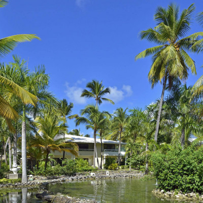 Paradisus Punta Cana image