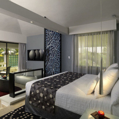 Paradisus Punta Cana image