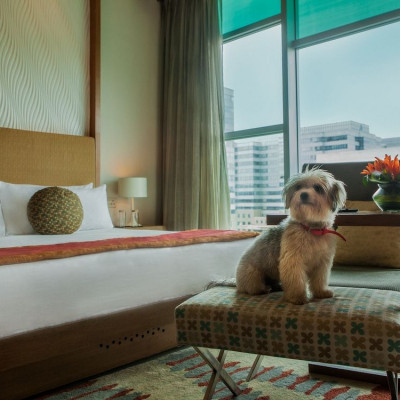 Vivanta Bengaluru, Whitefield image