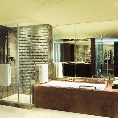 Taj Lands End image