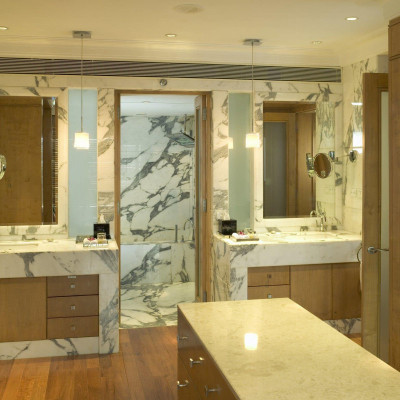 Taj Lands End image