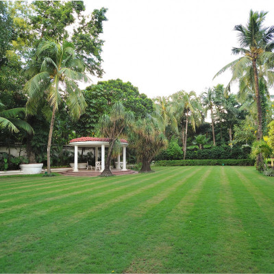 Taj Bengal image