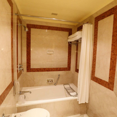 Taj Bengal image