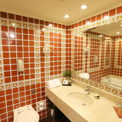 Taj Bengal image
