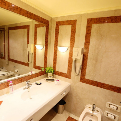 Taj Bengal image