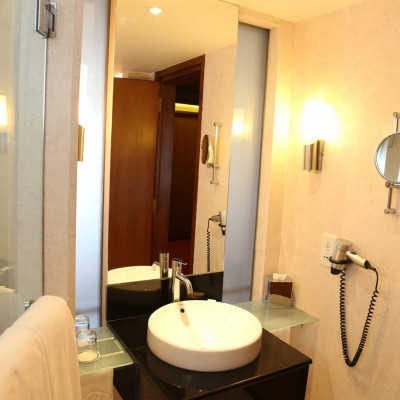 Taj Samudra image