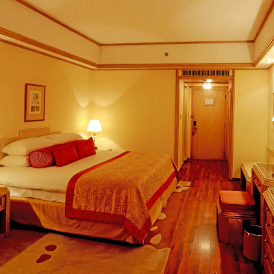 Taj Samudra image