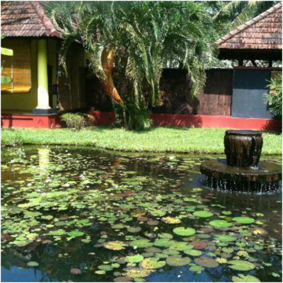 Taj Kumarakom Resort & Spa, Kerala image