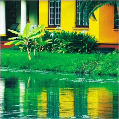 Taj Kumarakom Resort & Spa, Kerala image