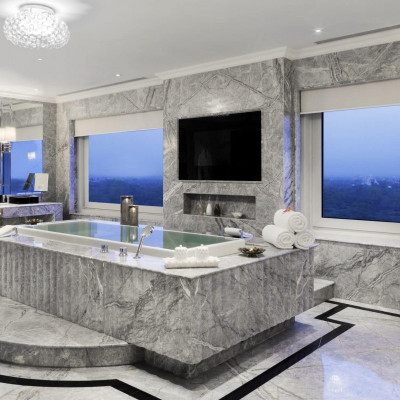 Taj Palace, New Delhi image