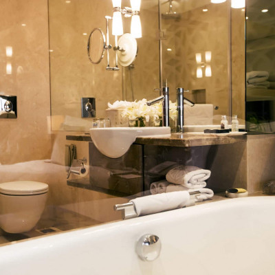 Taj Palace, New Delhi image