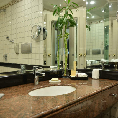 Taj Palace, New Delhi image