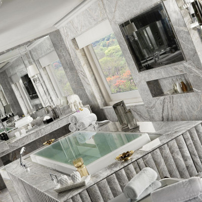 Taj Palace, New Delhi image