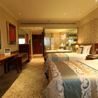 Taj Palace, New Delhi image