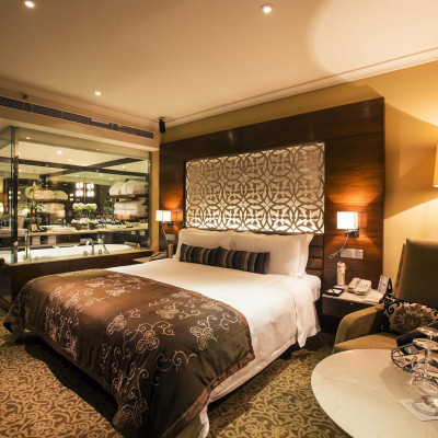 Taj Palace, New Delhi image