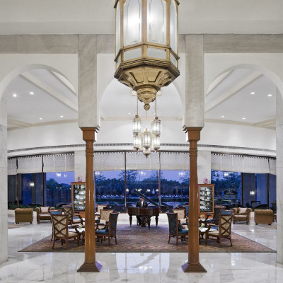 Taj Palace, New Delhi image