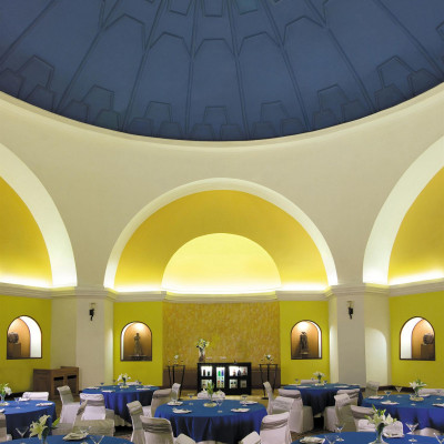 Ambassador image