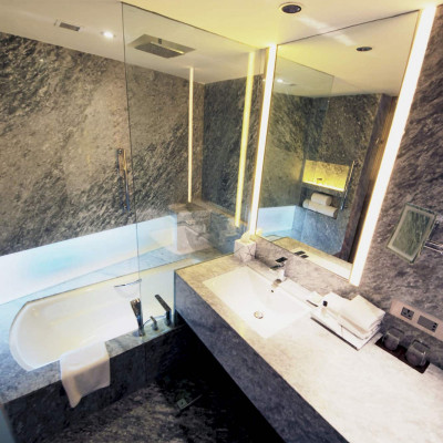 Vivanta New Delhi, Dwarka image