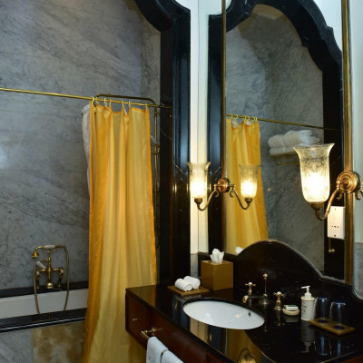 Taj Falaknuma Palace image