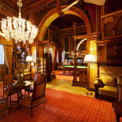 Taj Falaknuma Palace image