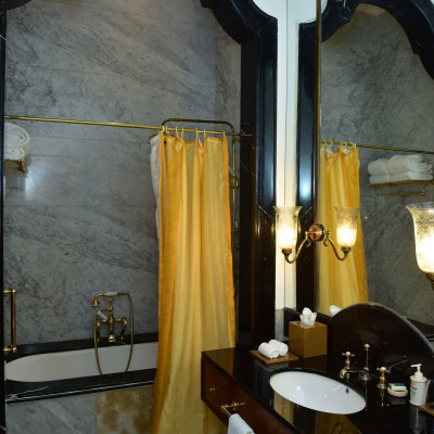 Taj Falaknuma Palace image