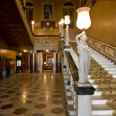 Taj Falaknuma Palace image