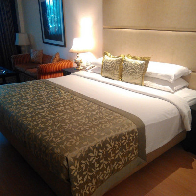 Taj Banjara image