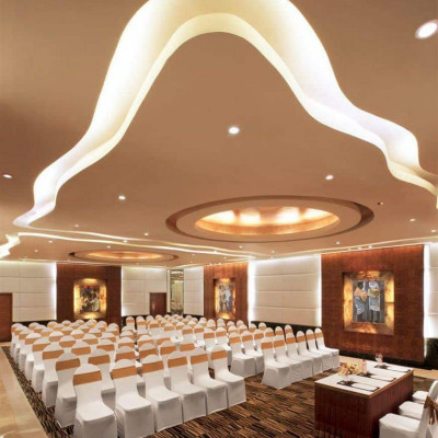 Taj Krishna image
