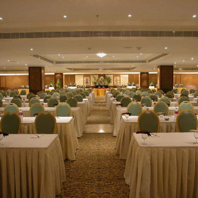 Taj Krishna image