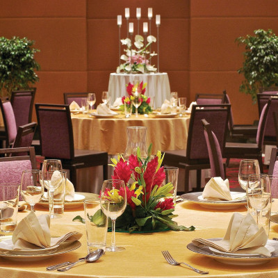 Vivanta Hyderabad, Begumpet image