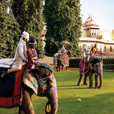 Elephant Polo