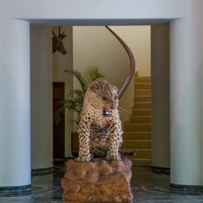 Vivanta Sawai Madhopur Lodge image