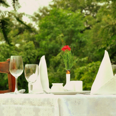 Vivanta Sawai Madhopur Lodge image
