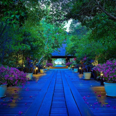 Vivanta Rebak Island, Langkawi image