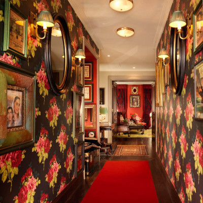 Cinema Suite