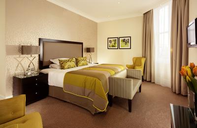 1-Bedroom Falconers Suite