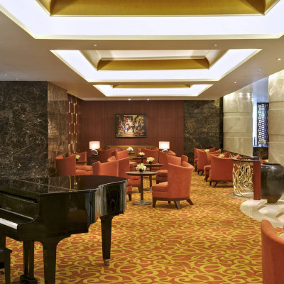 Taj Coromandel image