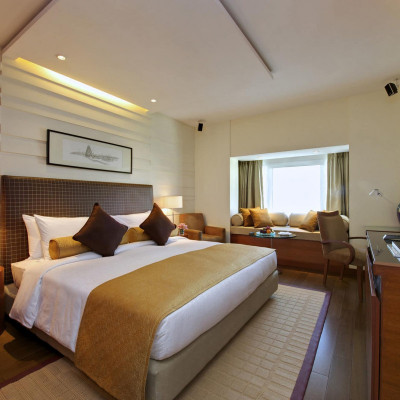 Taj Coromandel image