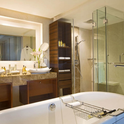Taj Coromandel image